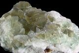 Sea-foam Green, Cubic Fluorite Crystal Cluster - Morocco #138253-2